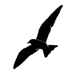 blackbird137 Avatar